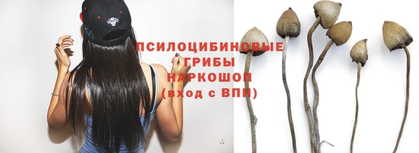 стаф Лагань