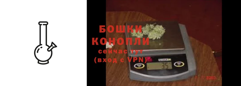 Альфа ПВП Ладушкин